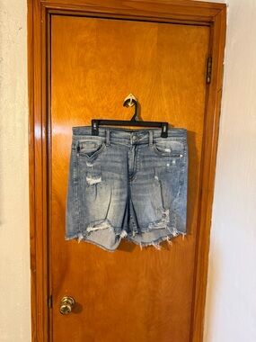 Judy Blue Light Blue with Paint Splatter  Distressed Denim Shorts Size 1X